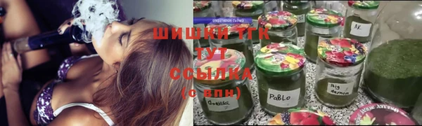 трава Лабытнанги