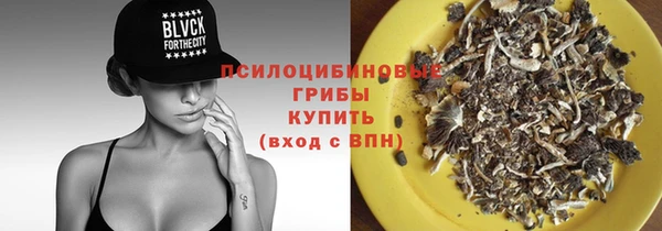 трава Лабытнанги