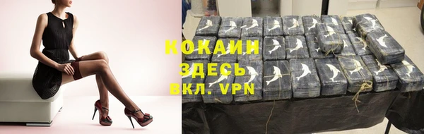 стафф Краснослободск