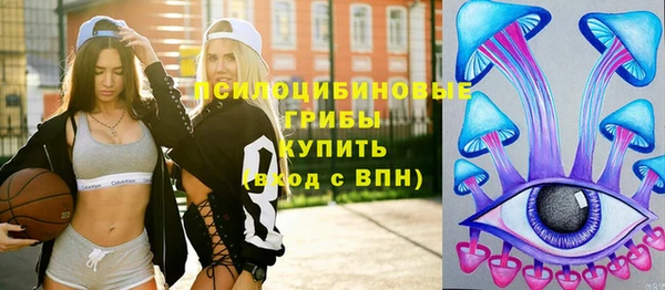 прущие грибы Лагань