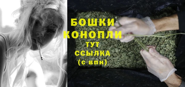 прущие грибы Лагань