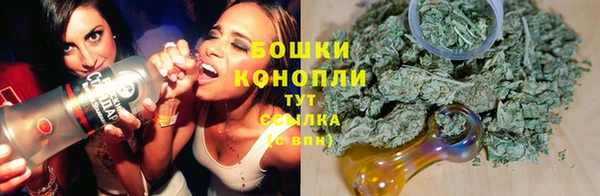 трава Лабытнанги