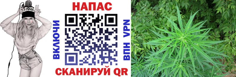 цены   Сураж  Бошки Шишки ГИДРОПОН 